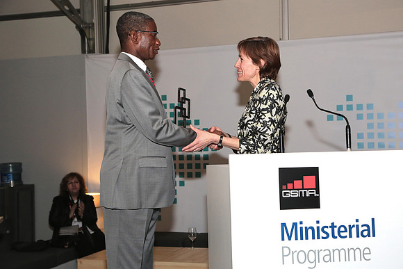 The Government Leadership Award 2014